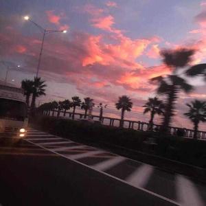 日本在线观看高清不卡免v
