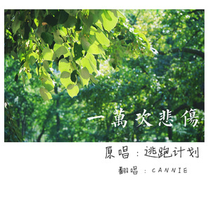 日本在线观看高清不卡免v
